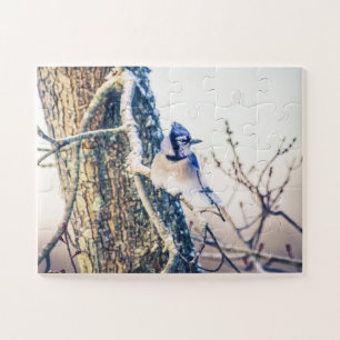 Blue Jay Bird te groot Legpuzzel