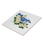 Blue Jay Bird Tegeltje (Zijkant)