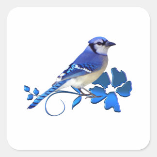 Blue Jay Bird Vierkante Sticker