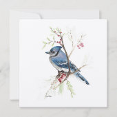 Blue Jay Bird Waterverf (Voorkant)