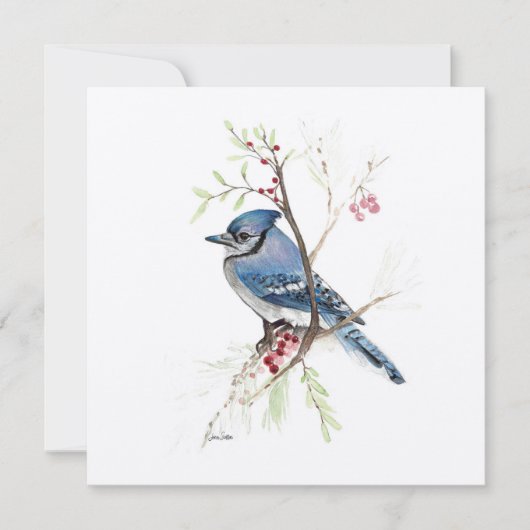 Blue Jay Bird Waterverf (Voorkant)