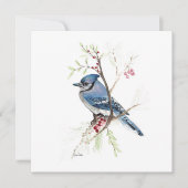 Blue Jay Bird Waterverf (Voorkant)