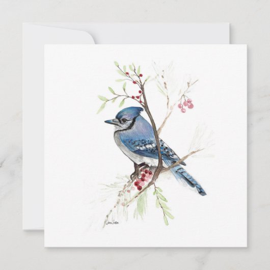Blue Jay Bird Waterverf (Voorkant)
