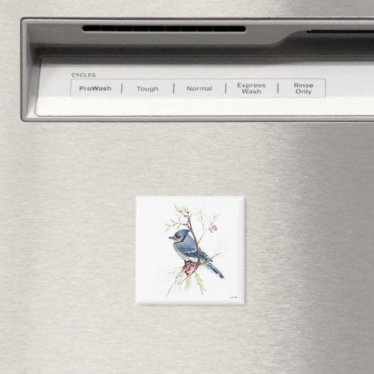Blue Jay Bird Waterverf Art Magnet (Insitu (Vaatwasser))