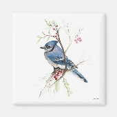 Blue Jay Bird Waterverf Art Magnet (Voorkant)
