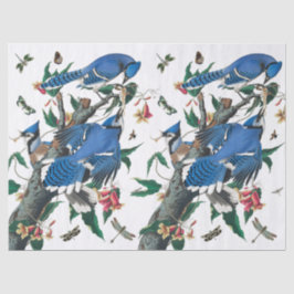  Blue Jay Birds Collage Pattern. Tissuepapier