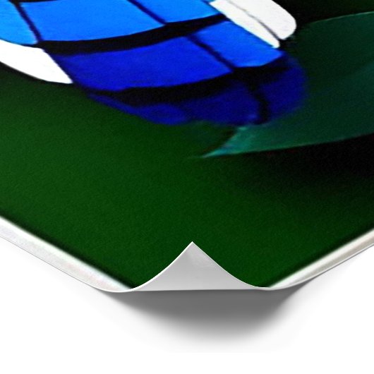 Blue Jay Birds Paper Art Poster (Hoek)