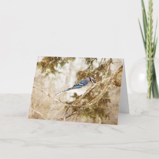 Blue Jay, Birthday Kaart (Voorkant)
