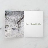 Blue Jay Birthday Kaart (Binnen)