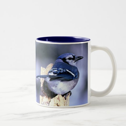 Blue Jay, Blue Jay Tweekleurige Koffiemok (Rechts)