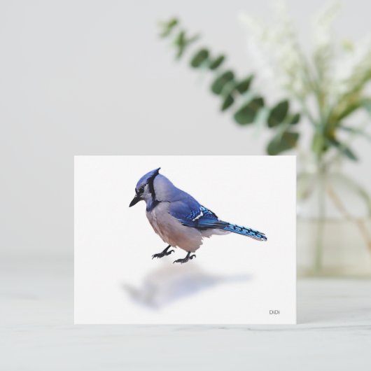 Blue Jay Briefkaart (Staand voorkant)