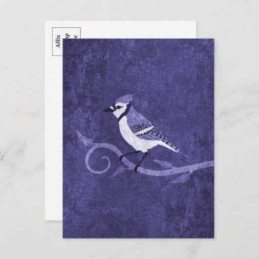 Blue Jay Briefkaart (Voorkant / Achterkant)