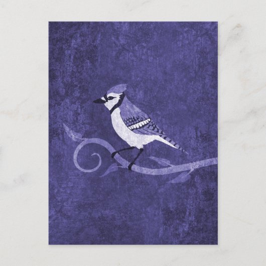 Blue Jay Briefkaart (Voorkant)