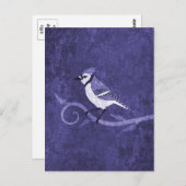 Blue Jay Briefkaart (Voorkant / Achterkant)