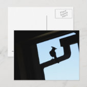 Blue Jay Briefkaart (Voorkant / Achterkant)