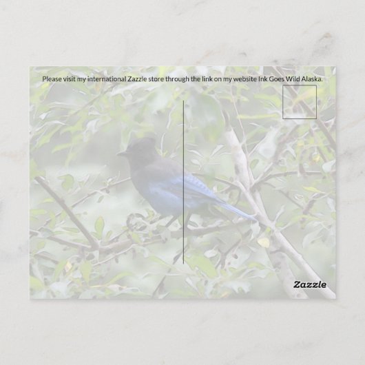 Blue Jay - Briefkaart (Achterkant)