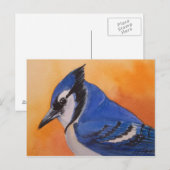 Blue Jay Briefkaart (Voorkant / Achterkant)