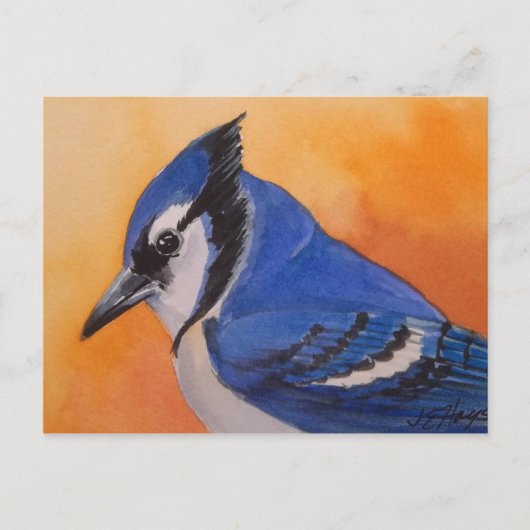 Blue Jay Briefkaart (Voorkant)