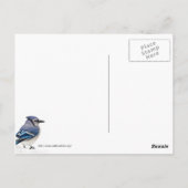 Blue Jay Briefkaart (Achterkant)