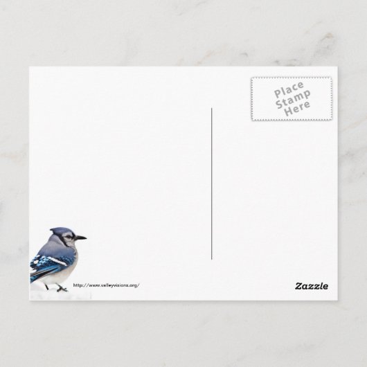 Blue Jay Briefkaart (Achterkant)