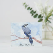 Blue Jay Briefkaart (Staand voorkant)