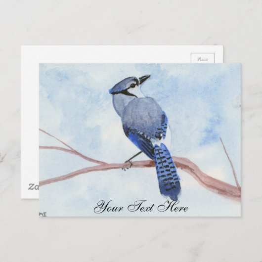 Blue Jay Briefkaart (Voorkant / Achterkant)