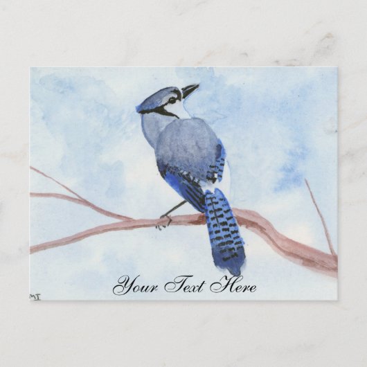 Blue Jay Briefkaart (Voorkant)