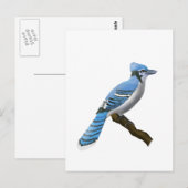 Blue Jay Briefkaart (Voorkant / Achterkant)