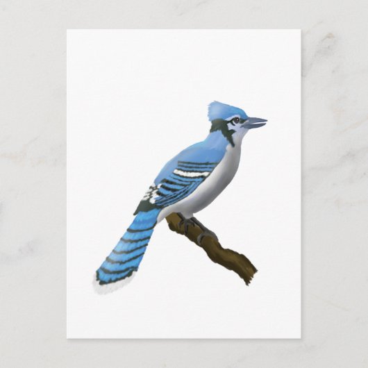 Blue Jay Briefkaart (Voorkant)