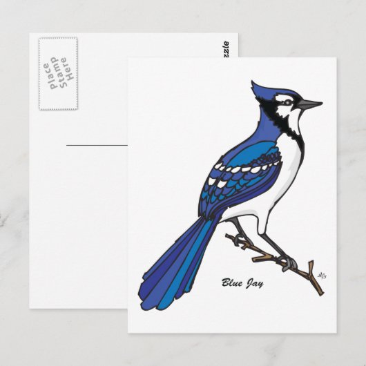 BLUE JAY BRIEFKAART (Voorkant / Achterkant)