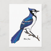 BLUE JAY BRIEFKAART (Voorkant)