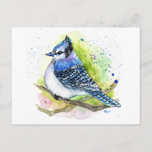 Blue Jay Briefkaart (Voorkant)