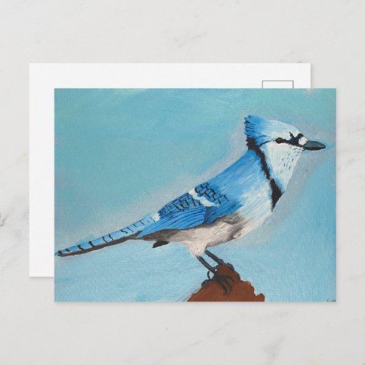 Blue Jay briefkaart (Voorkant / Achterkant)