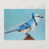 Blue Jay briefkaart (Voorkant)