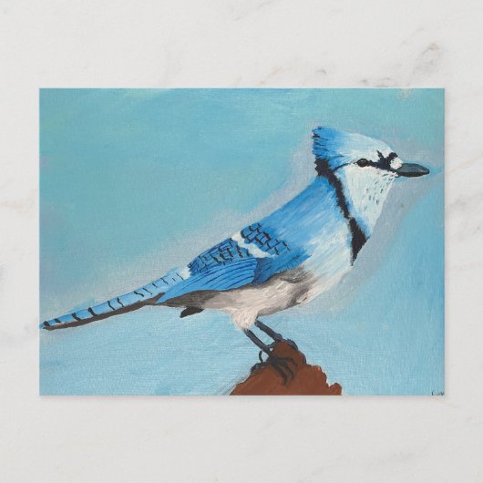 Blue Jay briefkaart (Voorkant)