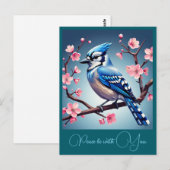 "BLUE JAY" BRIEFKAART (Voorkant / Achterkant)
