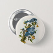 Blue Jay Button (Voorkant /achterkant)