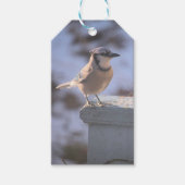 Blue Jay Cadeaulabel (Voorkant)
