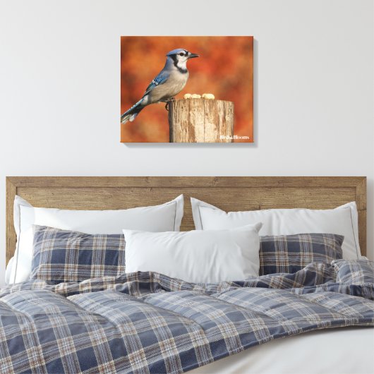 Blue Jay Canvas Afdruk (Insitu (Slaapkamer))