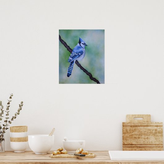 Blue Jay Canvas afdrukken Poster (Keuken)