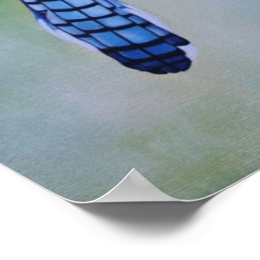Blue Jay Canvas afdrukken Poster (Hoek)