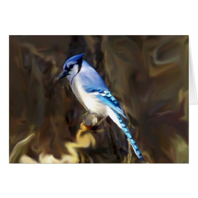 Blue Jay Cards (Voorkant Horizontaal)