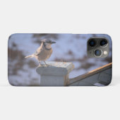 Blue Jay Case-Mate iPhone Case (Achterkant (horizontaal))