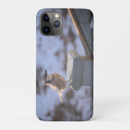 Blue Jay Case-Mate iPhone Case
