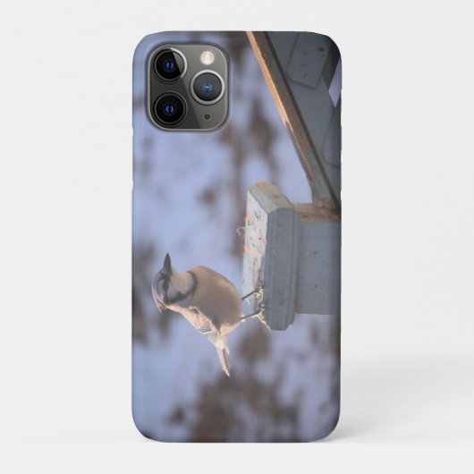 Blue Jay Case-Mate iPhone Case (Achterkant)