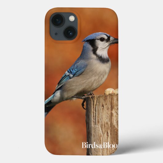 Blue Jay Case-Mate iPhone Case (Achterkant)