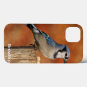Blue Jay Case-Mate iPhone Case (Achterkant (horizontaal))
