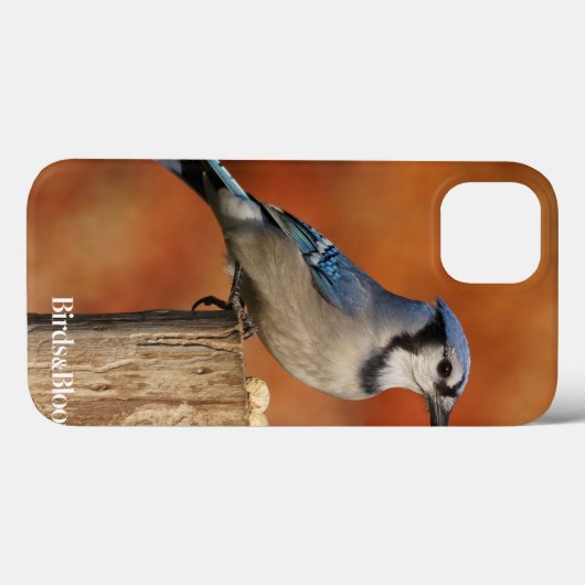 Blue Jay Case-Mate iPhone Case (Achterkant (horizontaal))