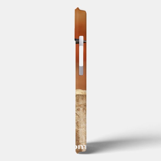 Blue Jay Case-Mate iPhone Case (Achterkant / Links)