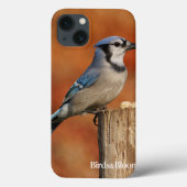 Blue Jay Case-Mate iPhone Case (Achterkant)
